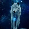rzwolf0