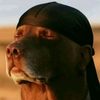 skunymoney