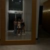 amit.spammm8
