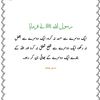 rashidgmail.com16