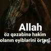 qula_mirza.059