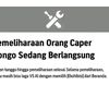 firmankbr04