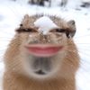 cloudedb1ue
