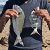 fishingpure