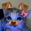 imnot_laa