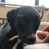 milli_20240723