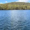will_4456