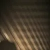mhieuu81