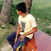 samiulislam8986