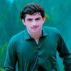 wajahatafridi786