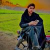 kasharkhanlufar3
