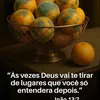 yurisantos761