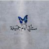 user4399043586331