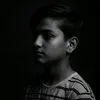 araujo_2011_