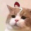 dumb_btch