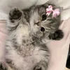 yanka_obezanka52