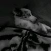 ixchel_1812