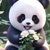 pandati.planc