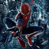_the.spider.man_