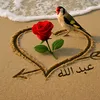 user2815721260945