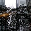 silent_lover_klcc