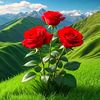 user1316703592051
