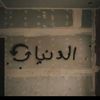 wleed.waleed