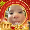 biet_aiko