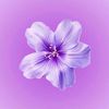 ruth_liny