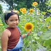 nherian.mae.sipe