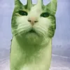 alien9548