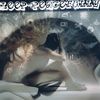 ifatongei4