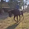 hstbst2