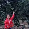 dth_hoeiz
