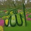 salman.ahmad.salm5