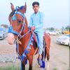 umermalik2355