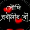 user74716105046057