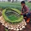 rana.islam4724