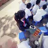 qanhh_cteee