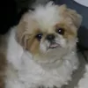 codie.bestboi