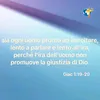 fortuna.ricci
