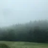 sara.hi80