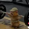thanhmai2785