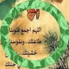 user94937026551795