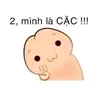 cacchamay361