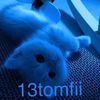 13tomfii.am
