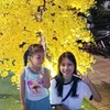 kim.thoa0086