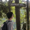 hsduong208