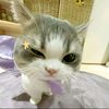 yunaaa_271
