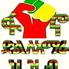 ብርቱካን ጎንደሬዋ  Fano